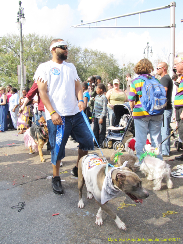 Mystic-Krewe-of-Barkus-HC-2011-0352