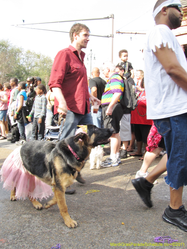 Mystic-Krewe-of-Barkus-HC-2011-0353