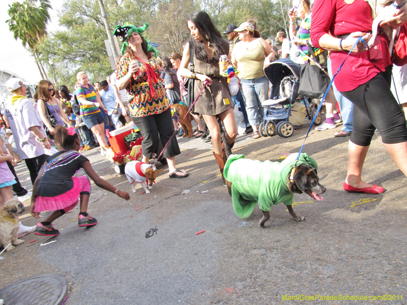 Mystic-Krewe-of-Barkus-HC-2011-0359