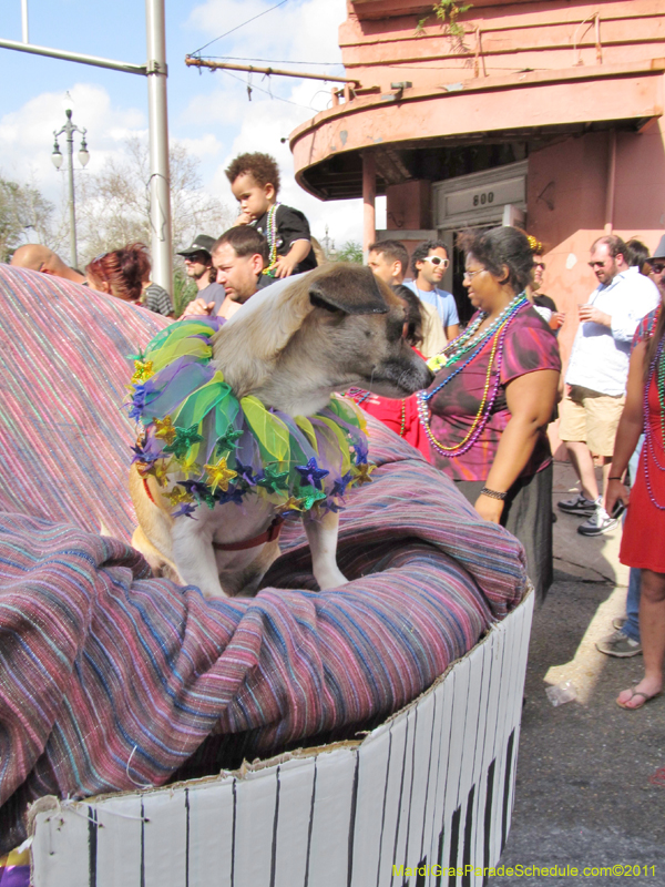 Mystic-Krewe-of-Barkus-HC-2011-0367