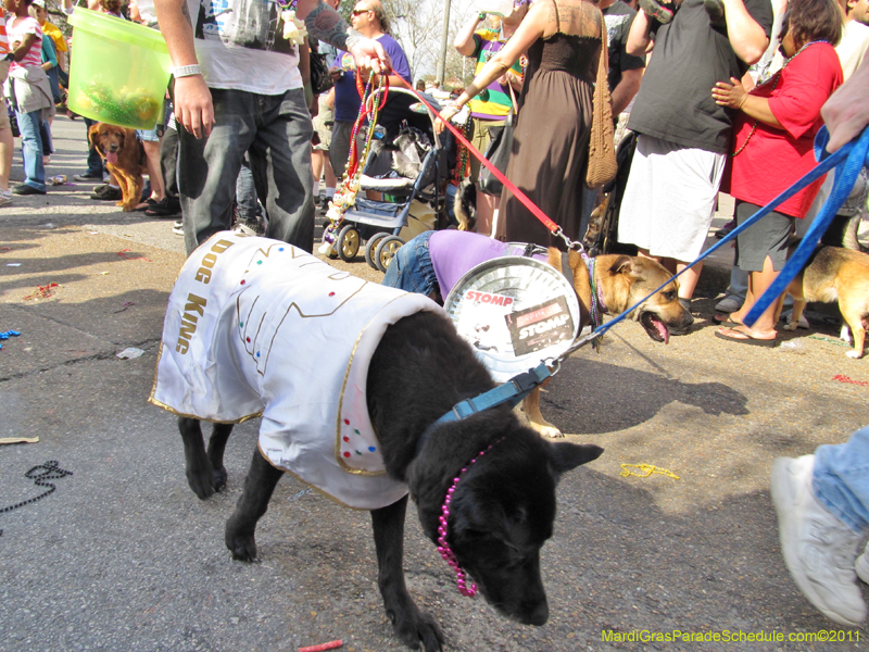 Mystic-Krewe-of-Barkus-HC-2011-0369