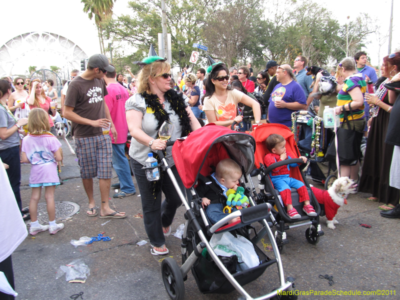 Mystic-Krewe-of-Barkus-HC-2011-0375