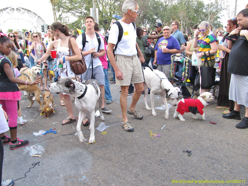 Mystic-Krewe-of-Barkus-HC-2011-0376