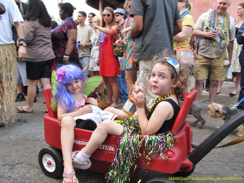 Mystic-Krewe-of-Barkus-HC-2011-0389