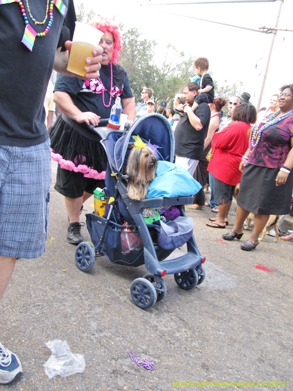 Mystic-Krewe-of-Barkus-HC-2011-0392