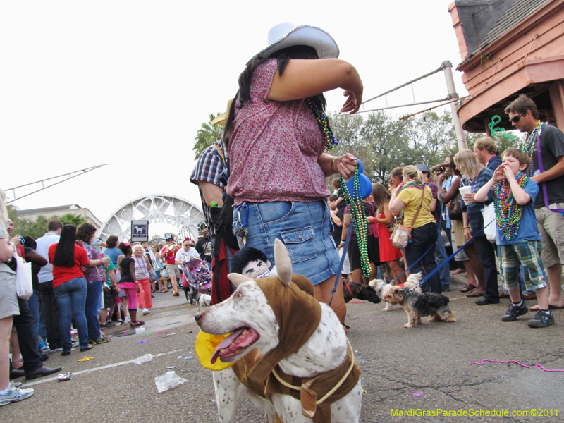 Mystic-Krewe-of-Barkus-HC-2011-0406