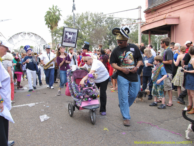 Mystic-Krewe-of-Barkus-HC-2011-0407