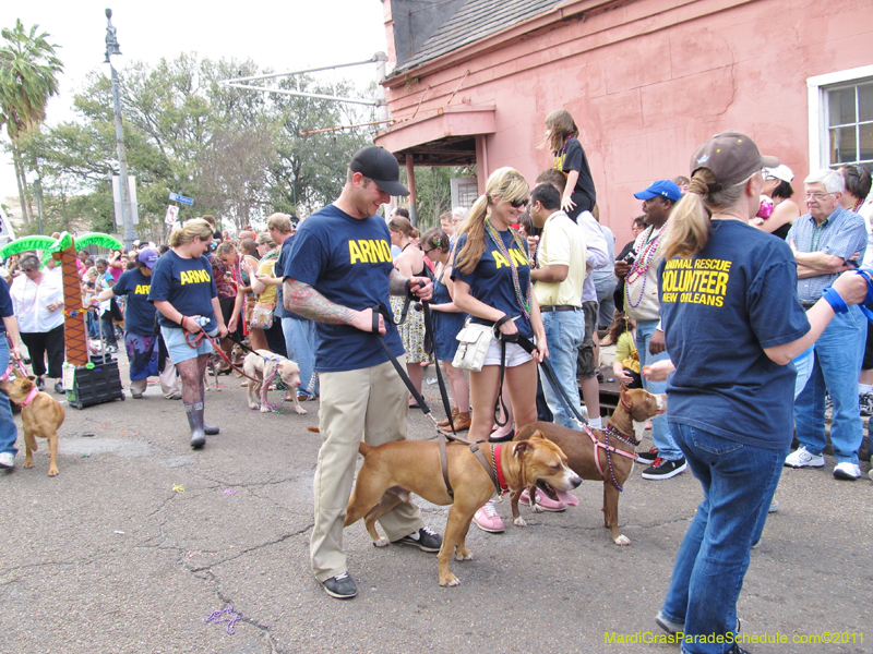 Mystic-Krewe-of-Barkus-HC-2011-0419