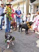 Mystic-Krewe-of-Barkus-HC-2011-0140