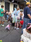 Mystic-Krewe-of-Barkus-HC-2011-0149