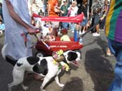 Mystic-Krewe-of-Barkus-HC-2011-0155