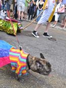 Mystic-Krewe-of-Barkus-HC-2011-0164