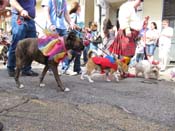 Mystic-Krewe-of-Barkus-HC-2011-0181