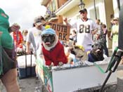 Mystic-Krewe-of-Barkus-HC-2011-0189