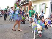 Mystic-Krewe-of-Barkus-HC-2011-0193