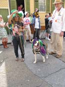 Mystic-Krewe-of-Barkus-HC-2011-0195