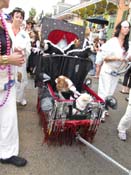 Mystic-Krewe-of-Barkus-HC-2011-0199