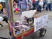 Mystic-Krewe-of-Barkus-HC-2011-0220