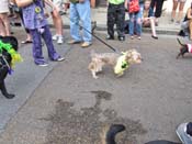 Mystic-Krewe-of-Barkus-HC-2011-0231