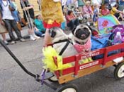 Mystic-Krewe-of-Barkus-HC-2011-0239