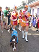 Mystic-Krewe-of-Barkus-HC-2011-0249