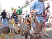 Mystic-Krewe-of-Barkus-HC-2011-0254