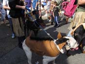 Mystic-Krewe-of-Barkus-HC-2011-0256