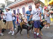 Mystic-Krewe-of-Barkus-HC-2011-0258