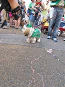 Mystic-Krewe-of-Barkus-HC-2011-0263