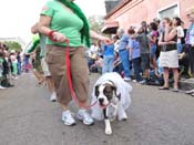 Mystic-Krewe-of-Barkus-HC-2011-0271