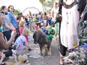 Mystic-Krewe-of-Barkus-HC-2011-0292