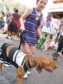 Mystic-Krewe-of-Barkus-HC-2011-0314