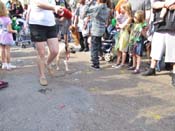 Mystic-Krewe-of-Barkus-HC-2011-0323