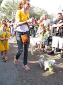 Mystic-Krewe-of-Barkus-HC-2011-0325