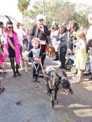 Mystic-Krewe-of-Barkus-HC-2011-0329