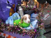 Mystic-Krewe-of-Barkus-HC-2011-0332