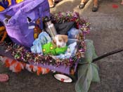 Mystic-Krewe-of-Barkus-HC-2011-0333