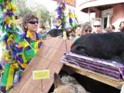 Mystic-Krewe-of-Barkus-HC-2011-0340