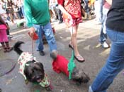 Mystic-Krewe-of-Barkus-HC-2011-0358