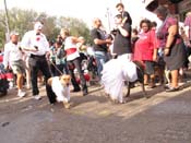 Mystic-Krewe-of-Barkus-HC-2011-0362