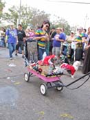 Mystic-Krewe-of-Barkus-HC-2011-0373