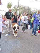 Mystic-Krewe-of-Barkus-HC-2011-0374