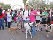 Mystic-Krewe-of-Barkus-HC-2011-0377