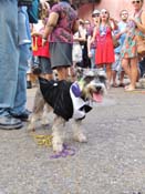 Mystic-Krewe-of-Barkus-HC-2011-0400