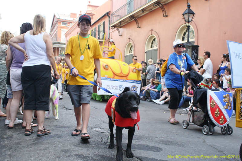 Mystic-Krewe-of-Barkus-JR-2011-0081