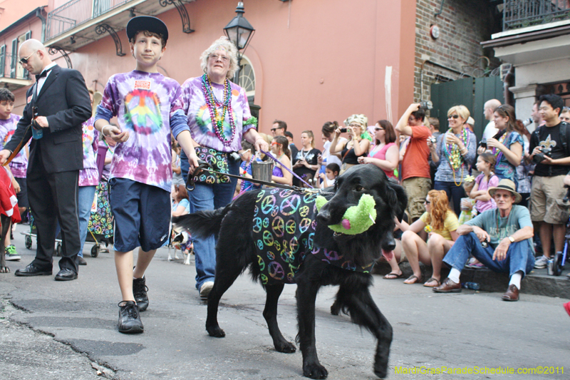 Mystic-Krewe-of-Barkus-JR-2011-0117