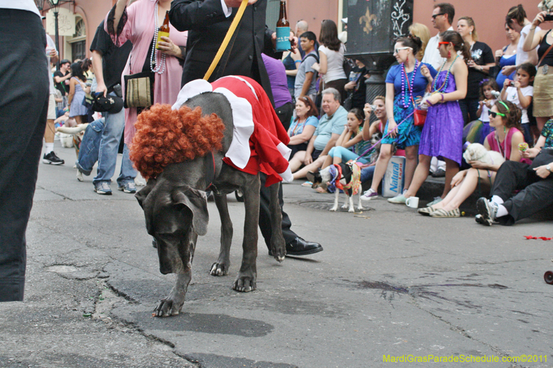 Mystic-Krewe-of-Barkus-JR-2011-0123