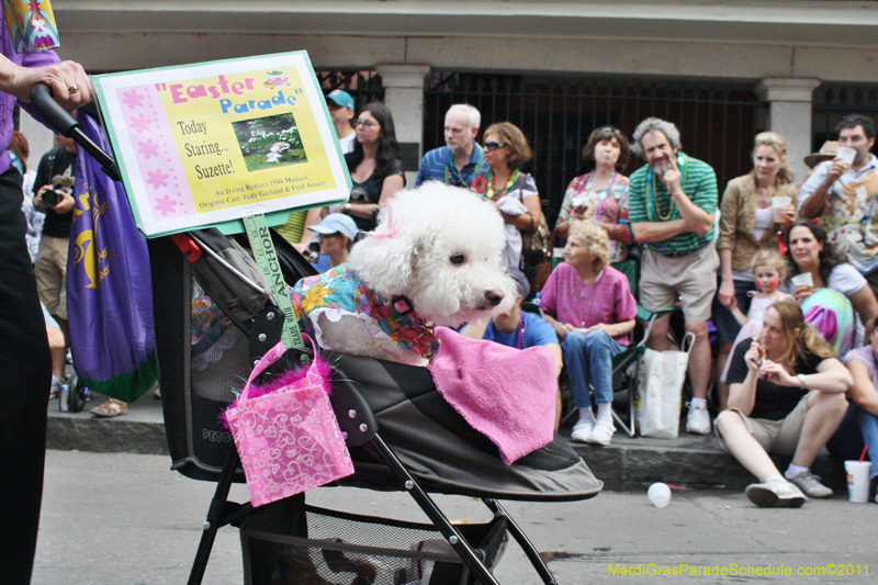 Mystic-Krewe-of-Barkus-JR-2011-0138