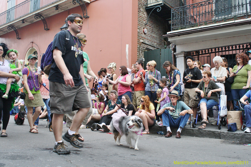 Mystic-Krewe-of-Barkus-JR-2011-0145