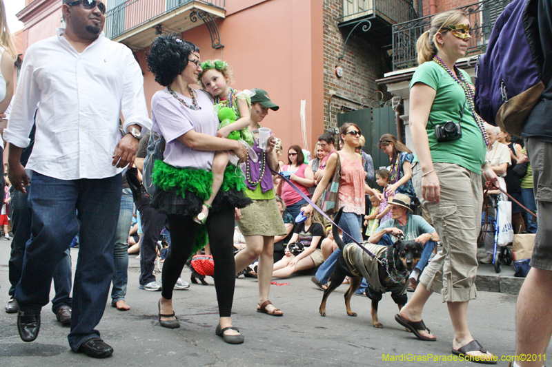 Mystic-Krewe-of-Barkus-JR-2011-0146